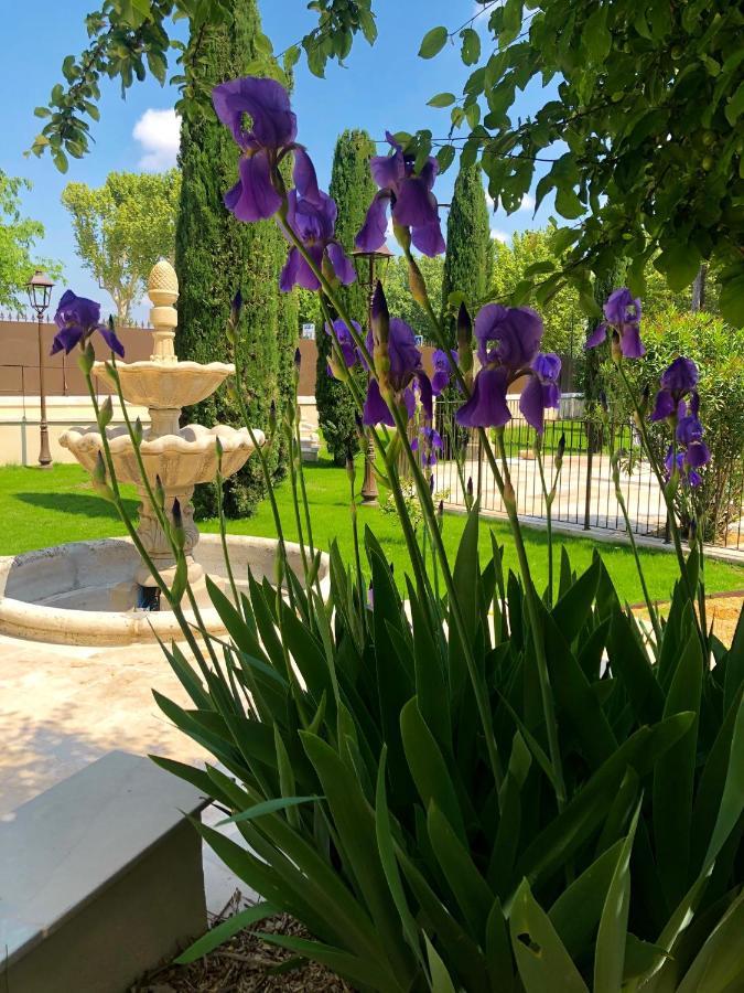 Villa Agrippa Оранж Екстериор снимка